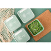 Amuse Kitchen & Dining > Food Storage > Food Storage Containers > Airtight Food Storage Containers > Sustainable > BIO > Sugarcane > Renewable > Eco-friendly Alaska Bio Gefrierdosen, Frischhaltedosen, 3er Packung (500, 750, 1000 ml)