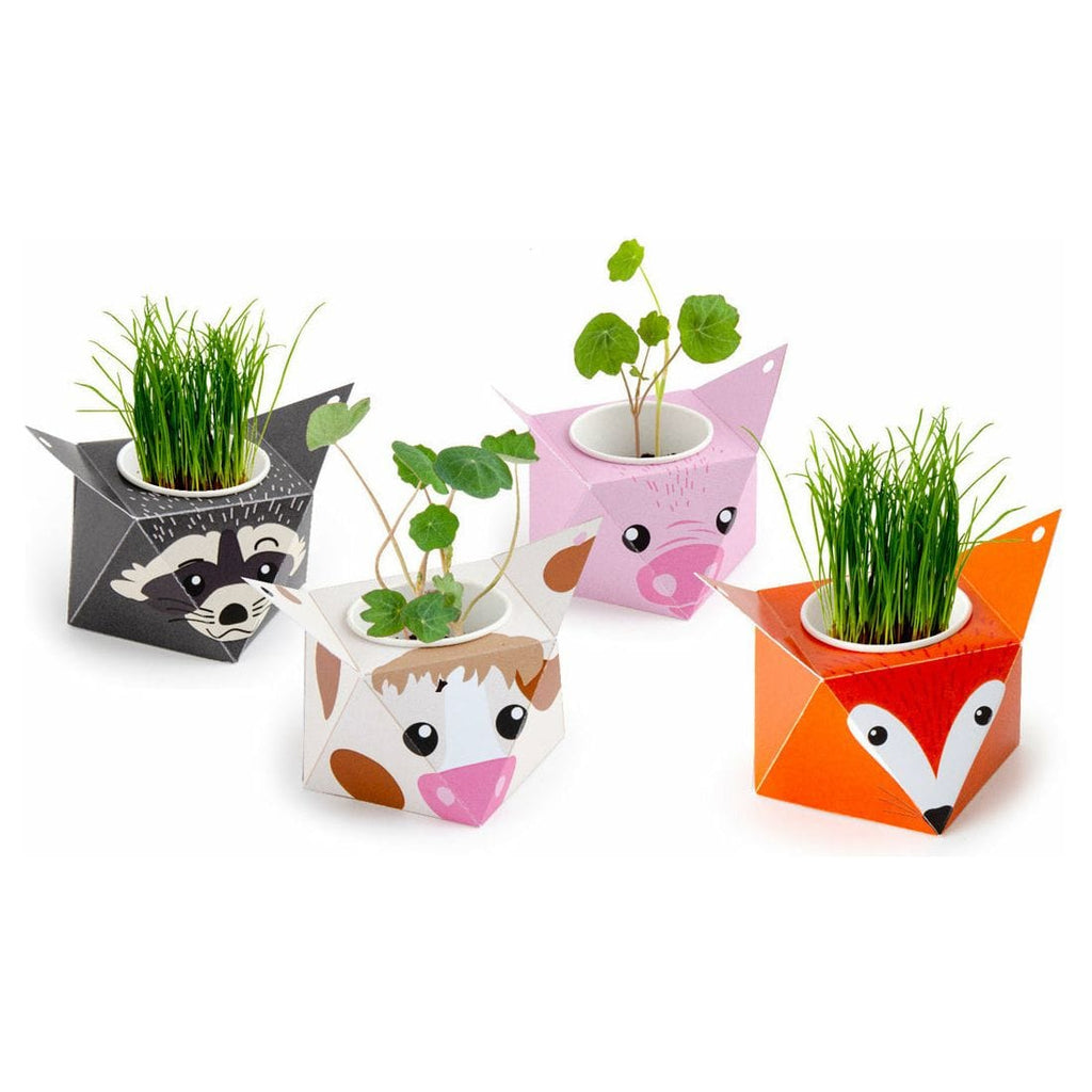 RADIS ET CAPUCINE Gardening Tool Accessories LA FARANDOLE DES ANIMAUX - AKTIVITÄTSBOX